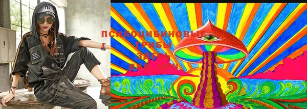 прущая мука Рославль