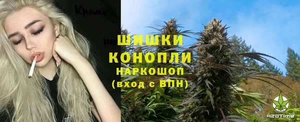 PSILOCYBIN Россошь